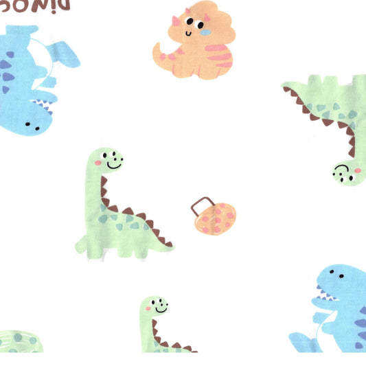 NRU Dino Cute Bib